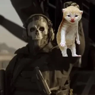 Telegram sticker 🐱 Ghost | COD :: @fStikBot