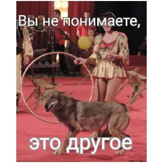Telegram sticker 🐺 Блядский цирк