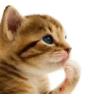 Sticker 🌟 Больше стиков тут: @stikery4