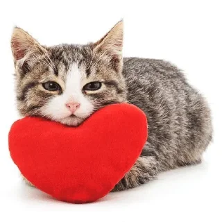 Video sticker 🌟 Больше стиков тут: @stikery4