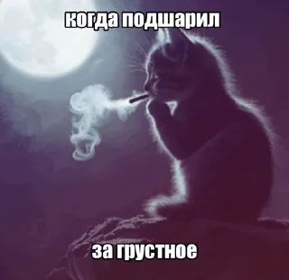 Video sticker 🌟 Больше стиков тут: @stikery4