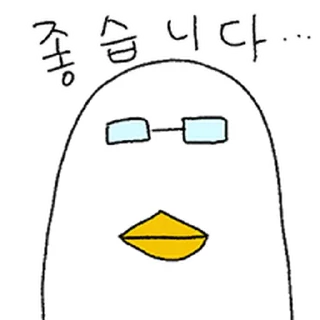 Telegram sticker ⭐ 돌팔이 둘기선생2 @moe_sticker_bot