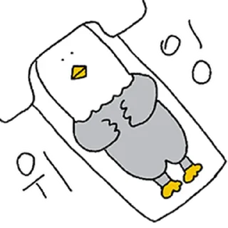 Video sticker ⭐ 돌팔이 둘기선생2 @moe_sticker_bot