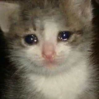 Telegram sticker 😪 хорни муд