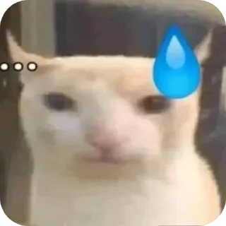 Video sticker 😅 Telegram channel @lttmod