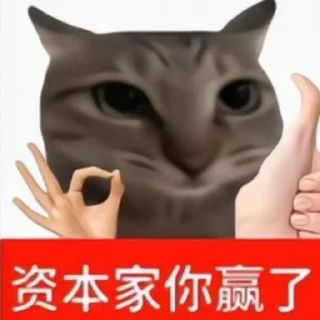 Telegram sticker 🌟 熊哥包5 @xiongxiong_520 :: @fStikBot