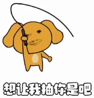 Video sticker 🌟 熊哥包5 @xiongxiong_520 :: @fStikBot