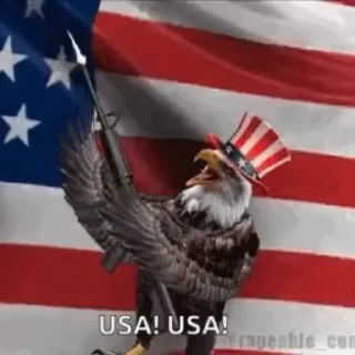 Video sticker 🌟 При поддержке JesusAVGN