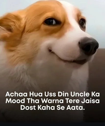 Telegram stiker 🤔 August 2025 @ManasTheKing :: @fStikBot