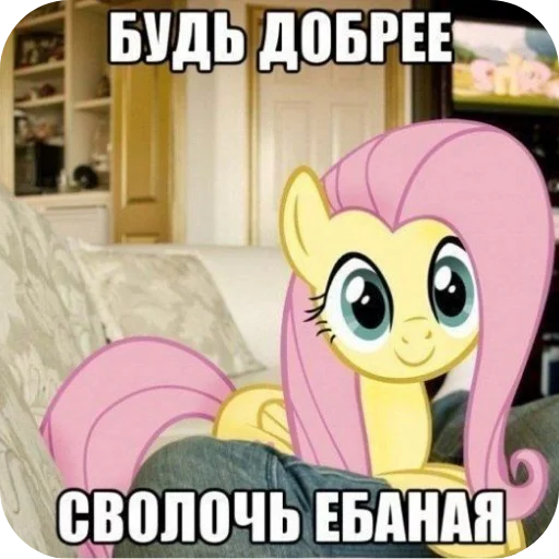 Telegram sticker 🐱 Зря пиво нет