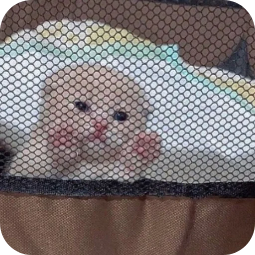 Sticker 🔳 Зря пиво нет