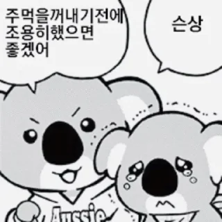 Video sticker 👊 노짱콘 통합 — @stckrRobot