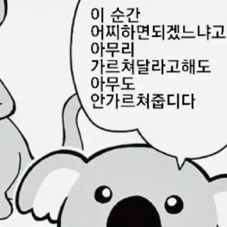 Telegram sticker 🤷‍♂️ 노짱콘 통합 — @stckrRobot