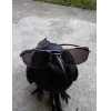 Video sticker 🤩 Memes Ultimate pac...