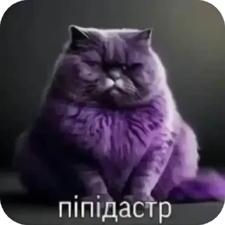 Telegram sticker 🥹 POTUZHNA