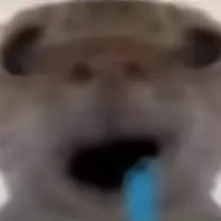 Telegram sticker 🫠 kitttt