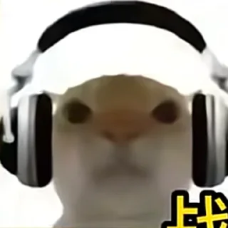 Telegram sticker 🙁 kitttt