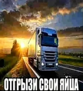 Video sticker 🤩 @PePaPy лучшие стикеры