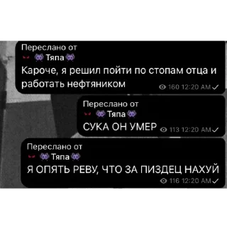 Telegram sticker 🫥 развалюха промисе