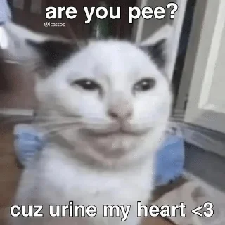 Telegram sticker 🌟 Kittymeows :: @fStikBot