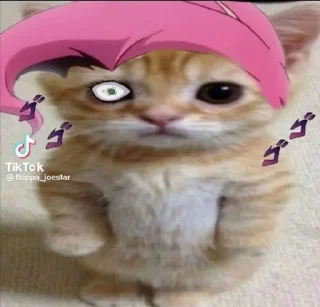 Video sticker 😈 Jojo chechile :: @fStikBot