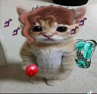 Video sticker 🍒 Jojo chechile :: @fStikBot