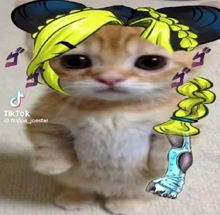 Video sticker 😭 Jojo chechile :: @fStikBot