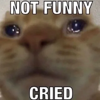 Telegram sticker 🐱 miru meme stuff