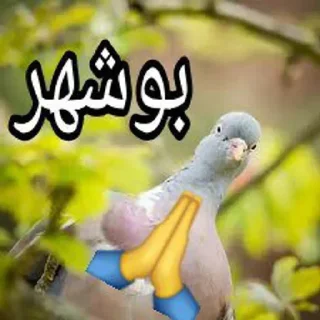 Telegram sticker 🙏 🦋🪐)