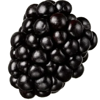 Video sticker 🌚 Настенька @szhechvedmy