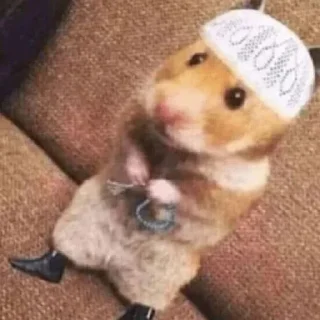 Telegram sticker 🎠 @i_t_z الاسطورة