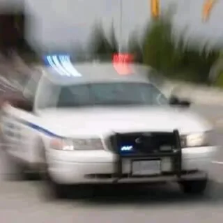 Video sticker 👮‍♂️ NewXd