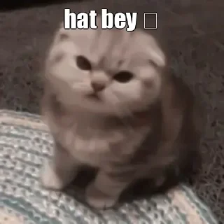 Telegram sticker 😒 мαнι'ѕ ѕтι¢кєя ρα¢к