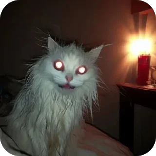 Телеграм стикер 🐱 Больше стиков тут: @stikery4