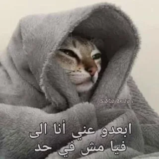 Telegram sticker 😂 ملصقات اكرام تاج راسكم