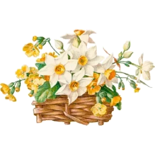 Telegram sticker 🌹 @Madre_Tierra_5D 🌸 — @stckrRobot