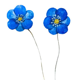 Telegram sticker 🌷 @Madre_Tierra_5D 🌸 — @stckrRobot