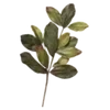 Sticker 🌱 my vibe (by @taneffe)