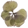 Sticker 🌱 my vibe (by @taneffe)