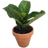 Sticker 🌱 my vibe (by @taneffe)