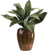 Video sticker 🌱 my vibe (by @taneffe)