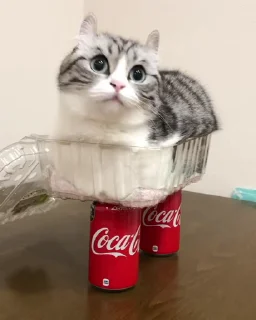 Video sticker 😐 @Mahdibes Pack 3