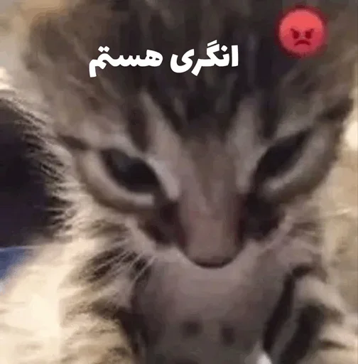 Telegram stiker 😡 @Gift0pia