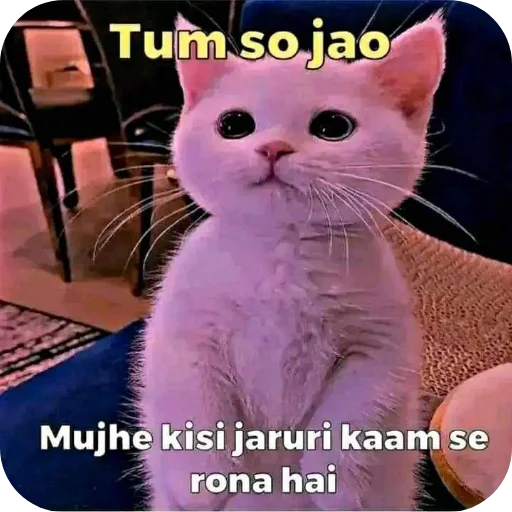 Telegram sticker 🐱 Lalala 4