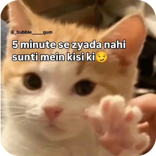 Sticker 🐱 Lalala 4