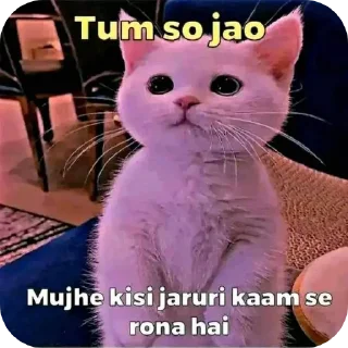 Video sticker 🐱 Lalala 4