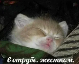 Telegram sticker 🛏️ Больше стиков тут: @archstick