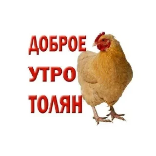 Sticker 🐂 Больше стиков тут: @archstick