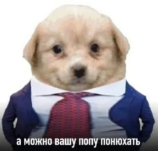 Video sticker 🍑 Больше стиков тут: @archstick