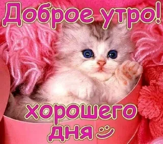 Telegram sticker 🌞 Больше стиков тут: @archstick